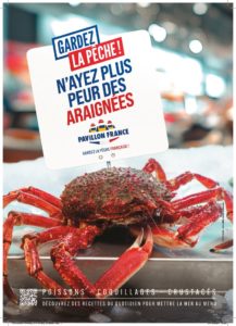thumbnail of PAVILLON FRANCE_AFFICHETTE_ARAIGNEE_210x297_HD_FP_07